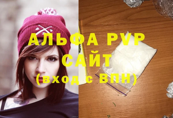шишки Бородино