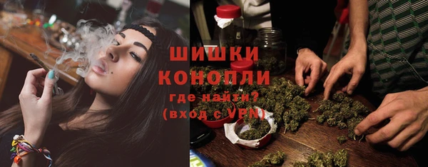 шишки Михайлов