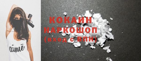 шишки Бородино