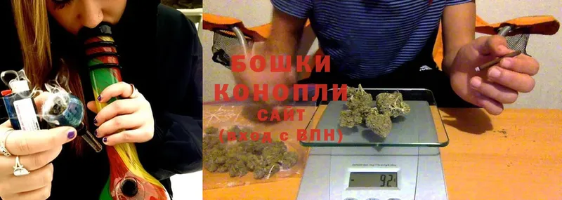 где купить наркотик  hydra ссылки  Конопля SATIVA & INDICA  Буй 